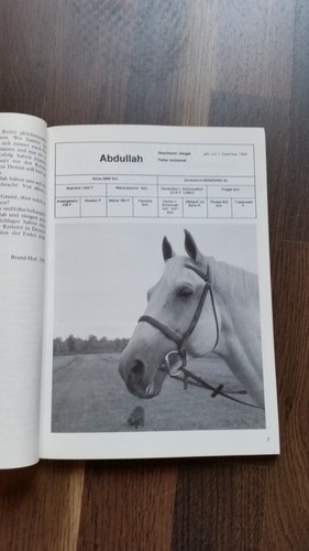 Trakehner hengst abdullah - trakehner,