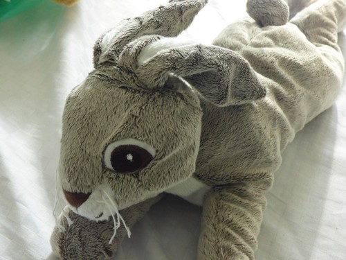 Ikea hase vandring - 🐰,