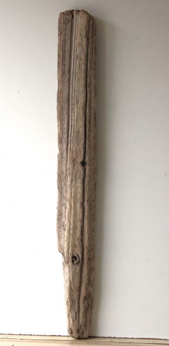 Treibholz schwemmholz - treibholz,