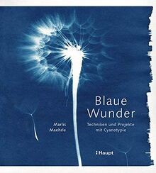 Blaue wunder techniken und - blaue,