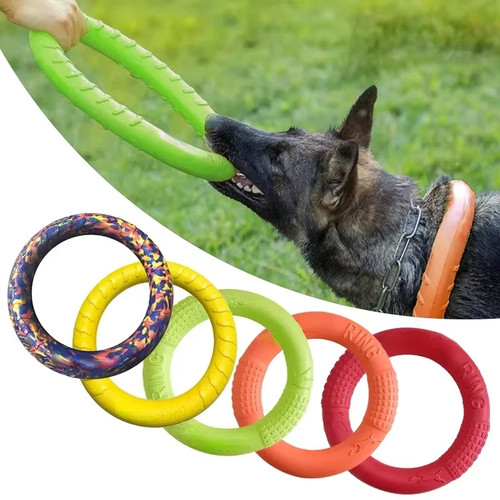 Hund frisbee eva wurfring - eva,