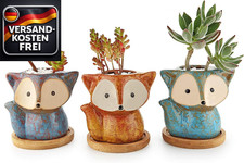 Sukkulententöpfe Keramik