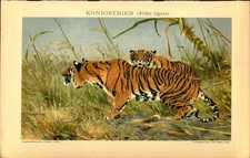 Lithographie - Steindruck -