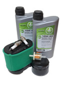 Briggs Stratton Wartung