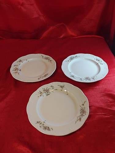 Alte rosenthal porzellan - 3,