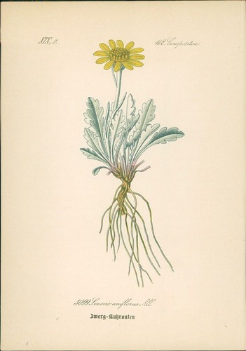 Chromolithographie - ,