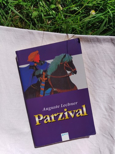 Parzival taschenbuch von - parzival,