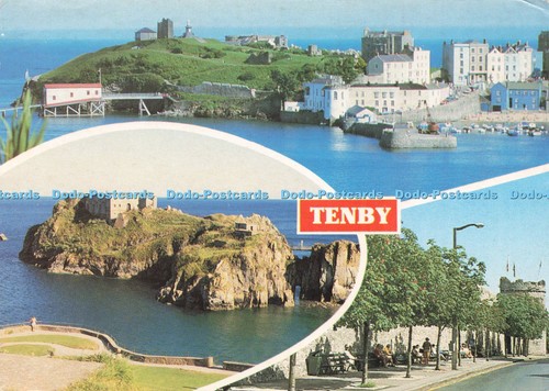 D223855 tenby castle hill and - castle,
