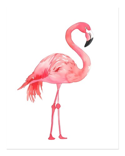 Wandkunst mit rosa - , flamingo