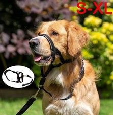 Hundehalter Halti Training