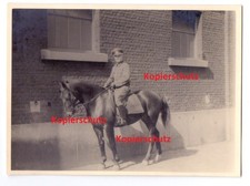 Foto - Offizier - Wehrmacht auf Rennpferd  Paula - Grünautal - Steiermark - 1941