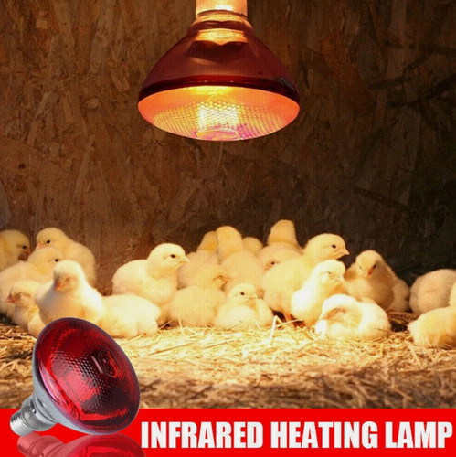 Stk rotlichtlampe - 2,
