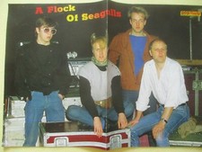 A Flock of Seagulls   POP