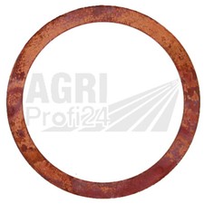 Dichtring Einspritzdüse für