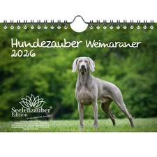 Hundezauber Weimaraner DIN A5 Kalender für 2026 Welpen und Hunde - Seelenzauber