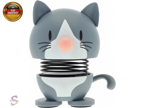 Blue american shorthair cat - american,