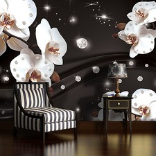 VLIES POSTER WANDBILD TAPETEN