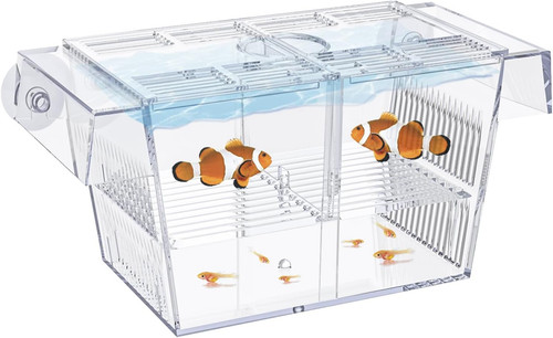 Aquarium fischbrutkasten acryl - aquarium,