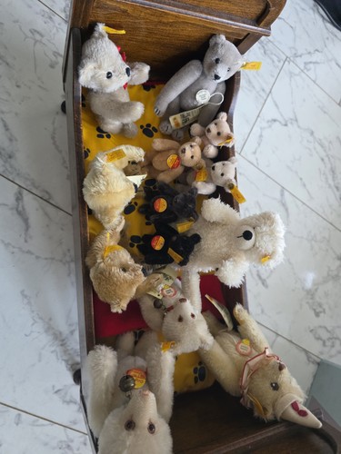 Steiff teddybären sammlung - steiff,