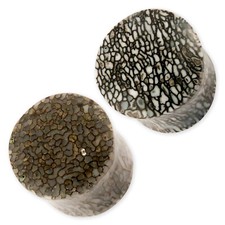 Ohr Plug Fossil Wal Knochen flesh tunnel whale bone organic horn holz piercing