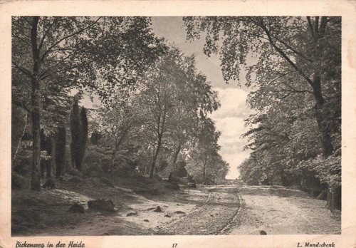 Birkenweg der heide i - der,
