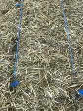 Heu 2kg 1. Schnitt Schwarzwaldheu für Kaninchen Schafe Pferde sehr Artenreich