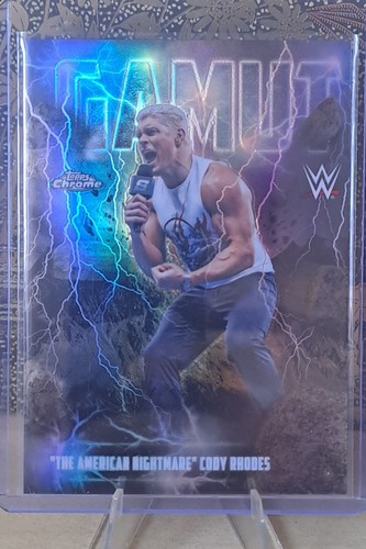 Cody rhodes gamut case hit - rhodes,