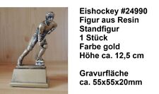 Eishockey verschiedene Figuren