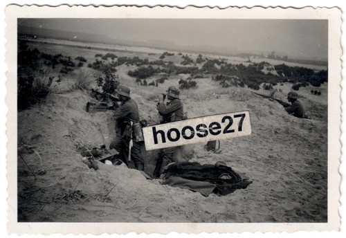 Foto ir71 mg schafft - 5.,