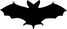 Fledermaus vampir halloween - fledermaus,
