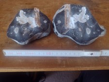 Donnerkeil ca 7 x 1,5 cm in