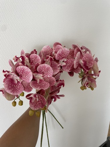 Künstlicher orchideen zweig - orchideen,