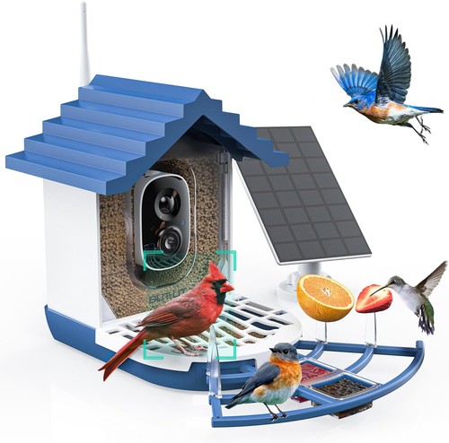 Vogelhaus mit kamera - kamera, video