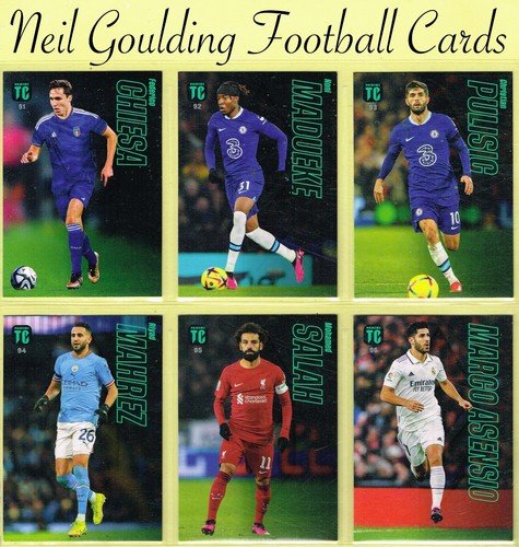 Panini 2022 top class - panini,