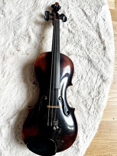 Geige violine sofort - geige,