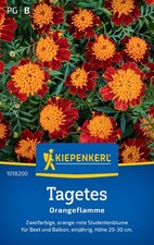 Kiepenkerl Tagetes Samen