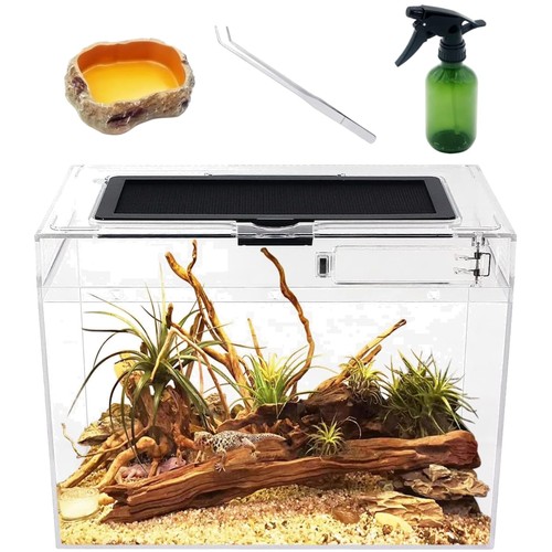 Mini terrarium komplettset - mini,
