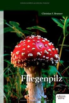 Fliegenpilz von christian - fliegenpilz,
