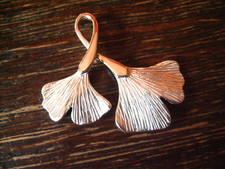 zierlich eleganter Gingko
