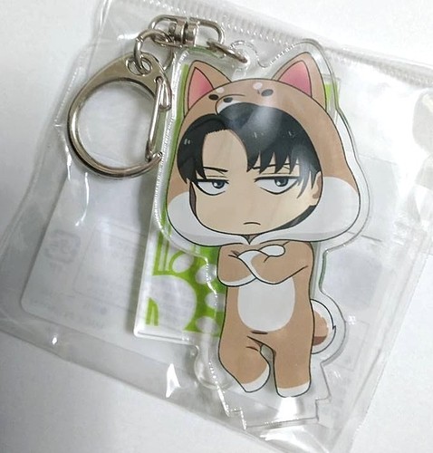 Attack titan acryl - on,