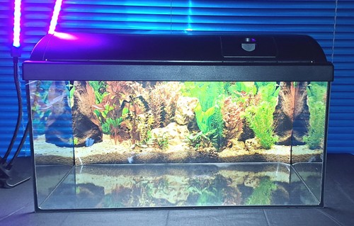 Waterhome glas terrarium - glas,