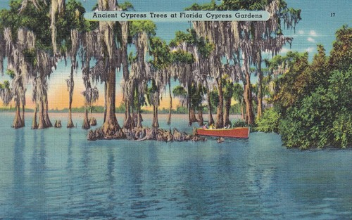 Postkarte usa florida - postkarte,