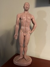 Akupunktur puppe - akupunktur,
