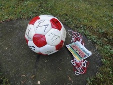 FC Bayern Autogrammball, Ball