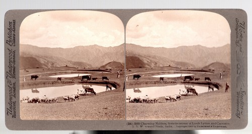 Stereoview stereokarte - stereoview,