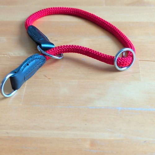 Hundehalsband kurzleine rund - hundehalsband,