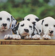 Klappkarte mit Umschlag