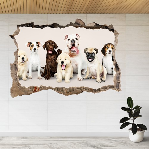 Portrait adorable puppies - of,