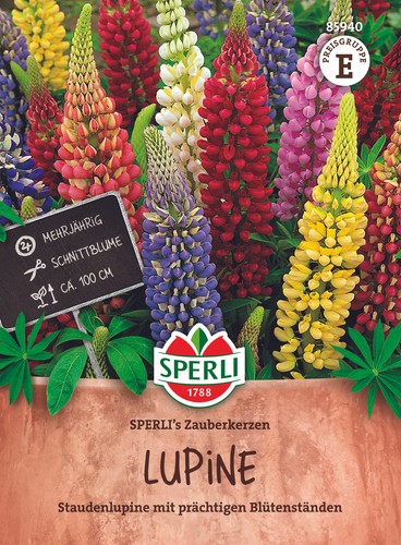 Lupine sperli zauberkerzen - sperli's,