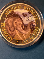 Somalia 2018 African Wildlife